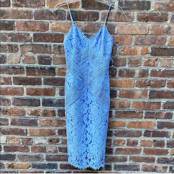 LOVER the Label Corded Lace Sheath Dress - Picture 4 of 16